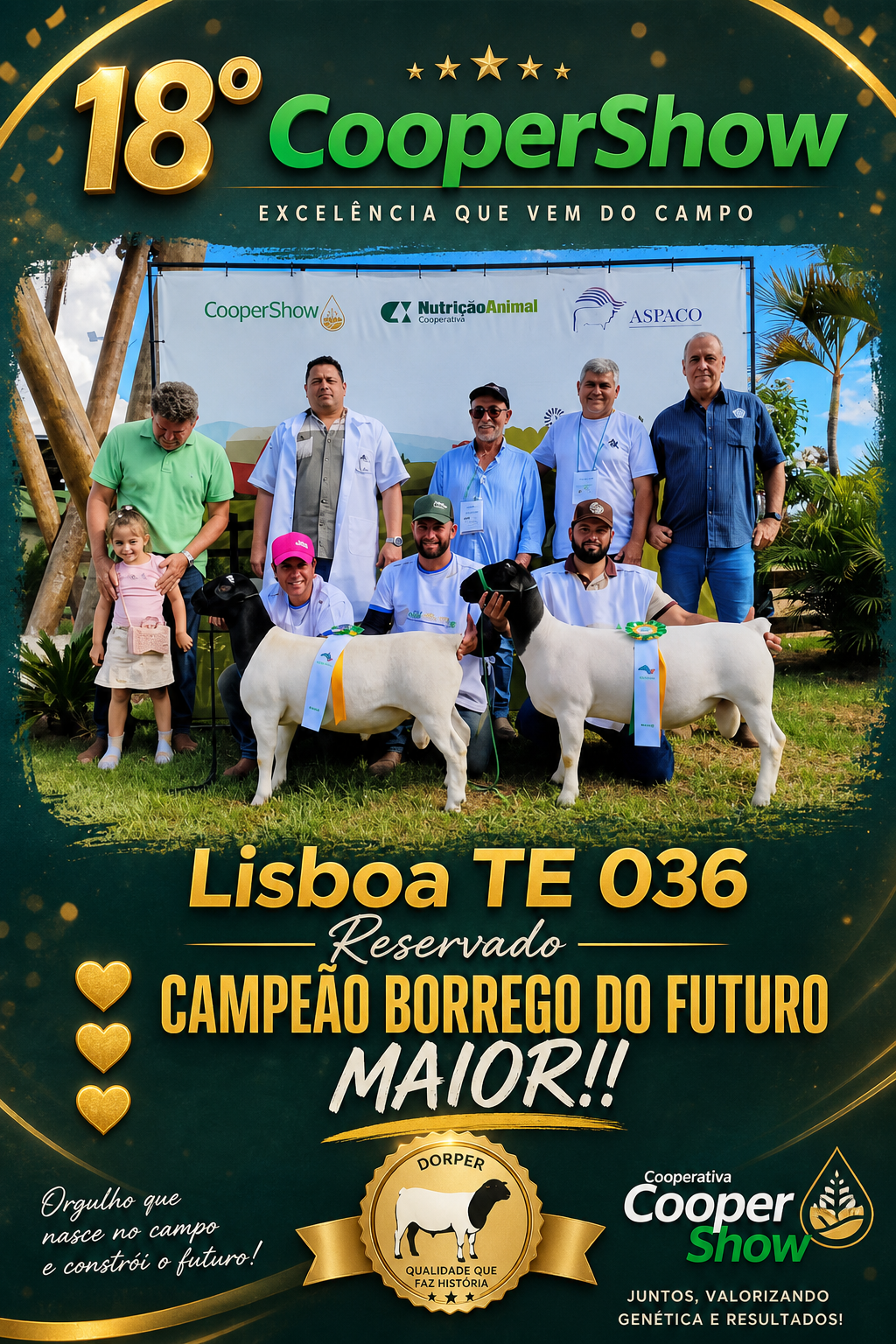 Expor o ouro edição número 250