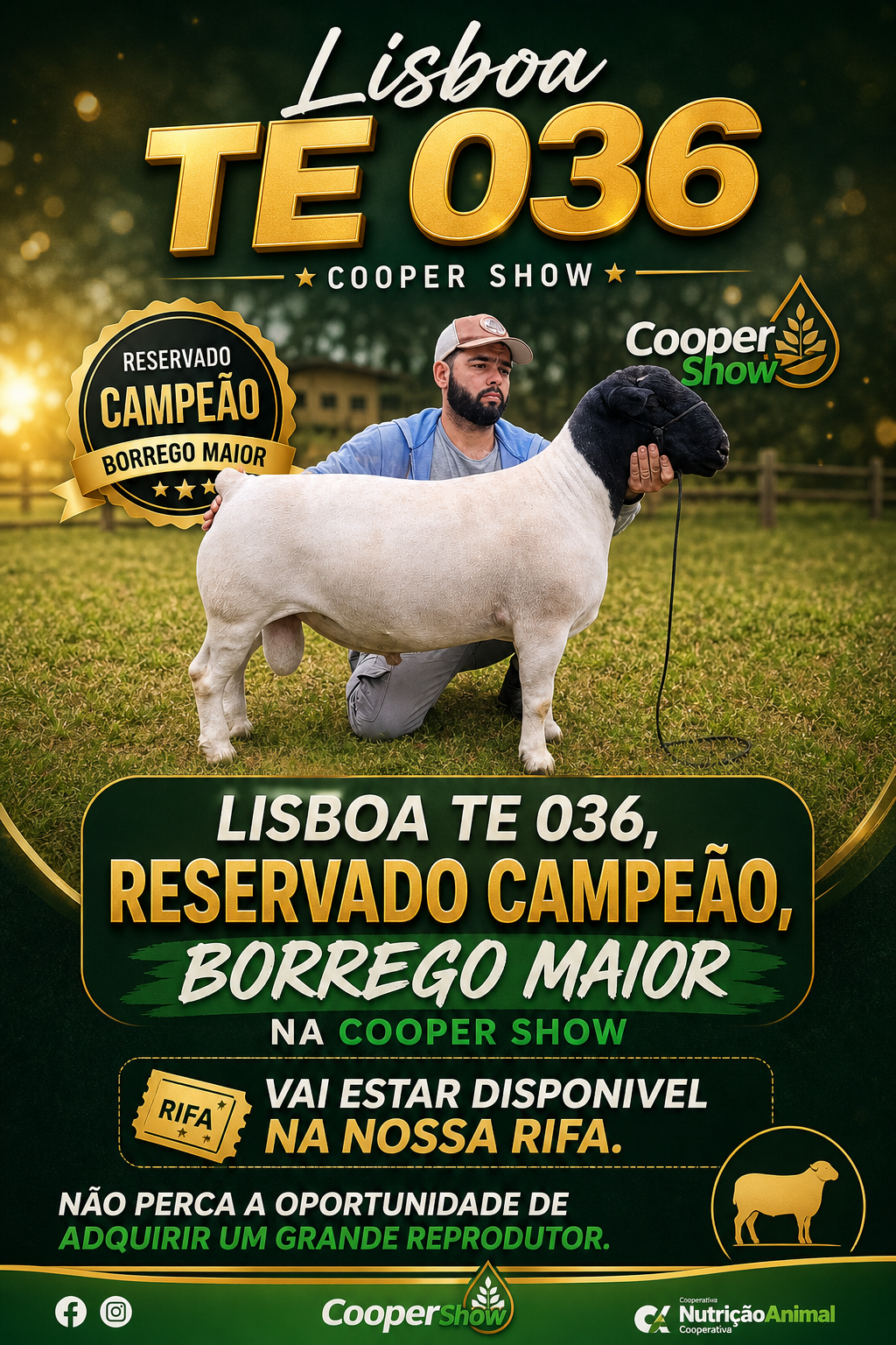 Expor o ouro edição número 250