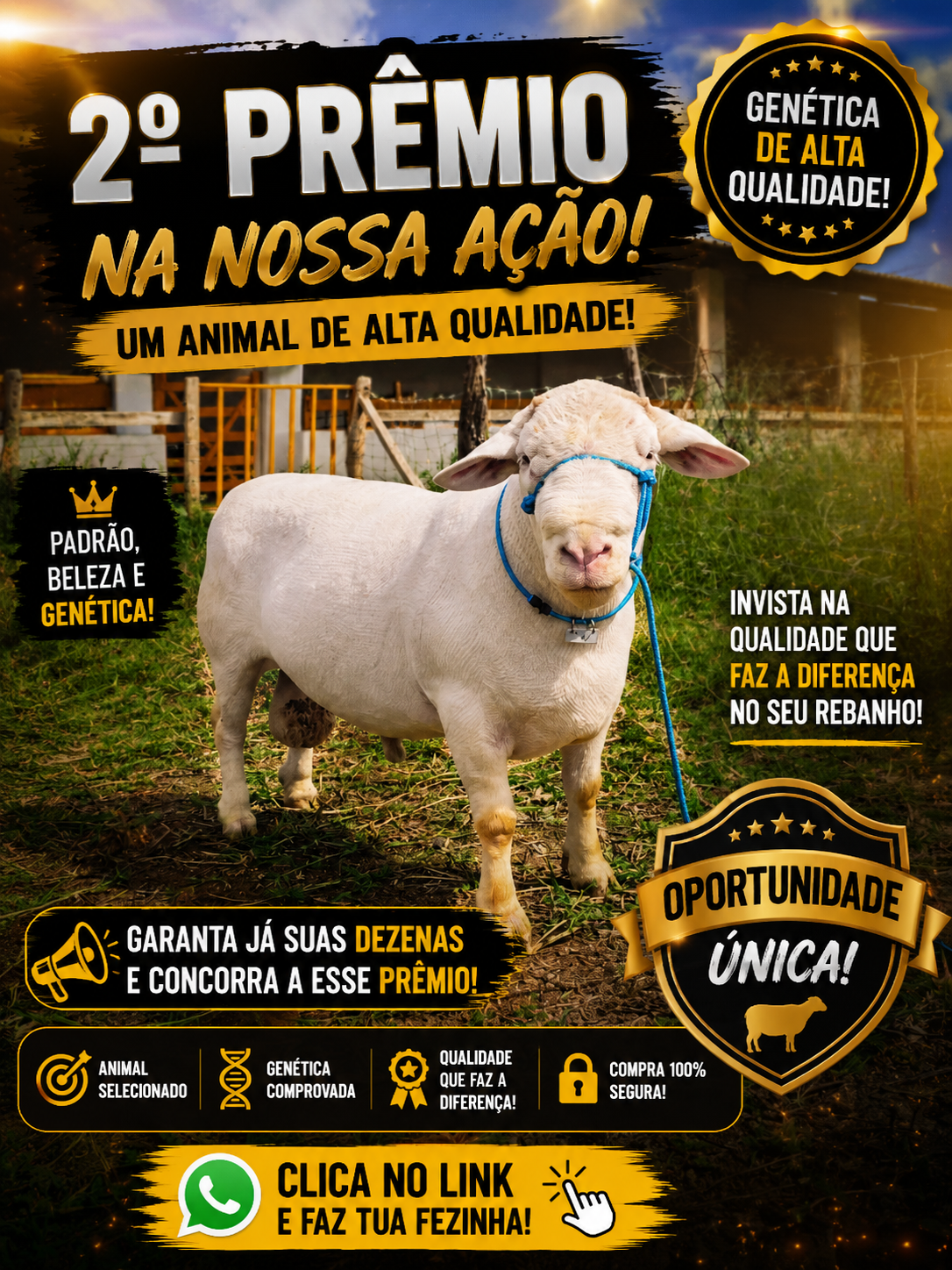 Expor o ouro edição número 250
