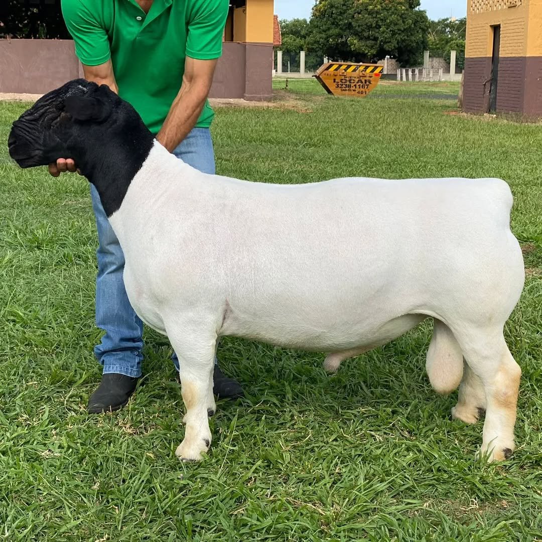 1.500,00 com apenas 0,03 centavos